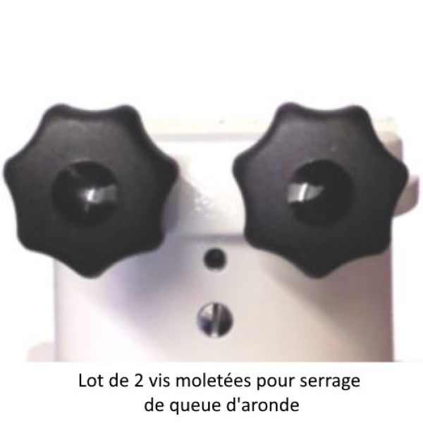 Vis de serrage moletée M8x60 pour queue d'aronde pour montures NEQ6, AZ-EQ6 ou EQ6-R (lot de 2) - PierroAstro
