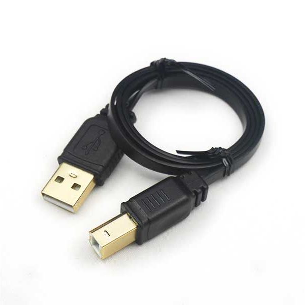 Câble USB 2.0 type A vers B - long. 50cm - ZWO